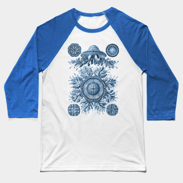 Ernst Haeckel Discomedusae Jellyfish Plate 28 Blue Baseball T-Shirt by Scientistudio